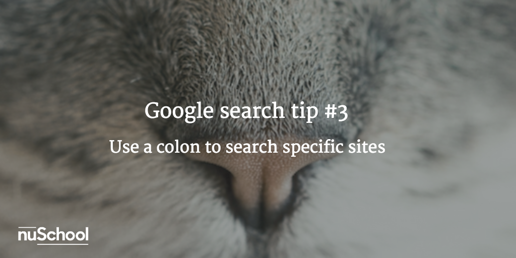 Google search tip #3: Use a colon to search specific sites - nuschool