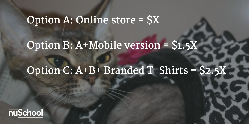 pricing options for design nuschool